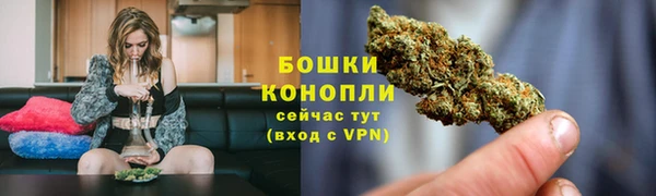 эйфоретик Осинники