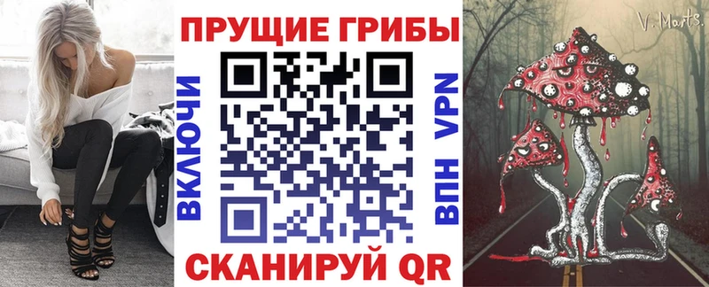 Псилоцибиновые грибы GOLDEN TEACHER  купить закладку  Свободный 