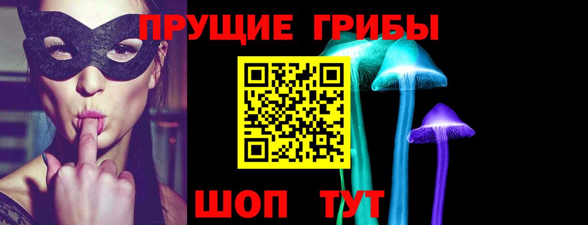 Свободный  Галлюциногенные грибы прущие грибы  закладки  Галлюциногенные грибы Cubensis  Вход с VPN 